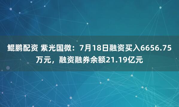 鲲鹏配资 紫光国微：7月18日融资买入6656.75万元，融资融券余额21.19亿元