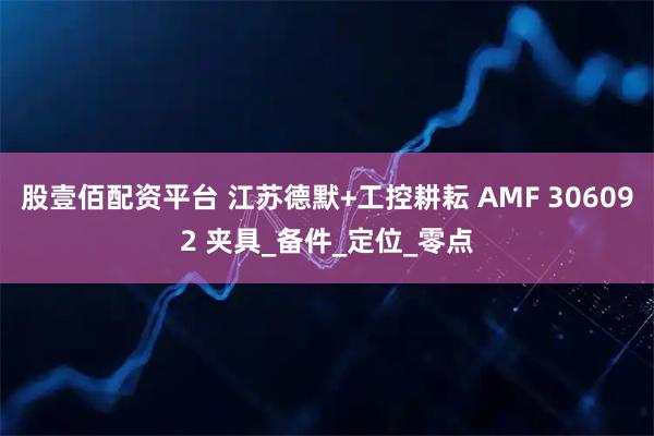 股壹佰配资平台 江苏德默+工控耕耘 AMF 306092 夹具_备件_定位_零点