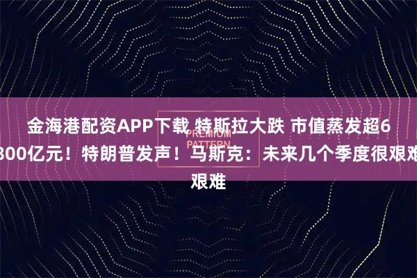 金海港配资APP下载 特斯拉大跌 市值蒸发超6800亿元！特朗普发声！马斯克：未来几个季度很艰难