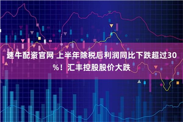 速牛配资官网 上半年除税后利润同比下跌超过30%！汇丰控股股价大跌
